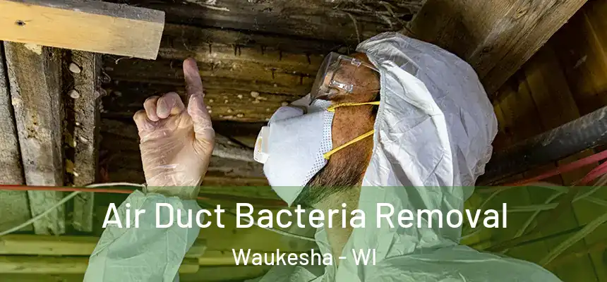 Air Duct Bacteria Removal Waukesha - WI