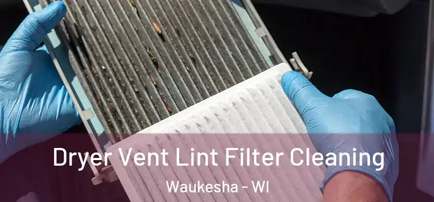 Dryer Vent Lint Filter Cleaning Waukesha - WI