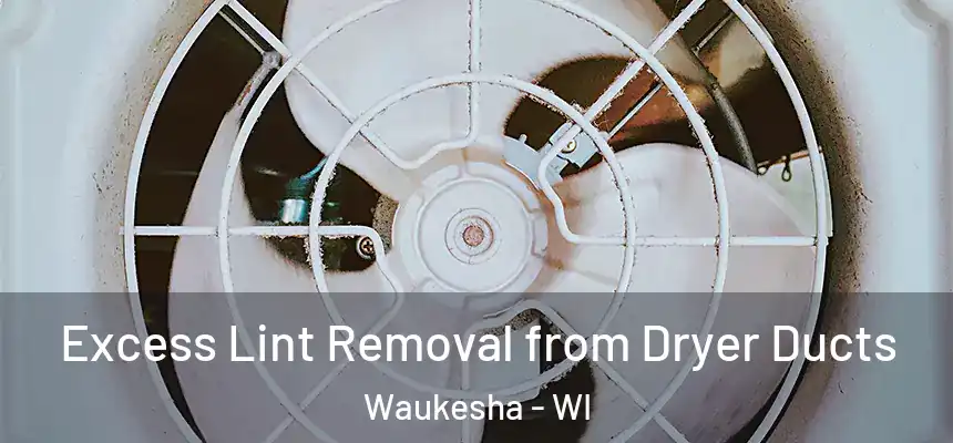  Excess Lint Removal from Dryer Ducts Waukesha - WI