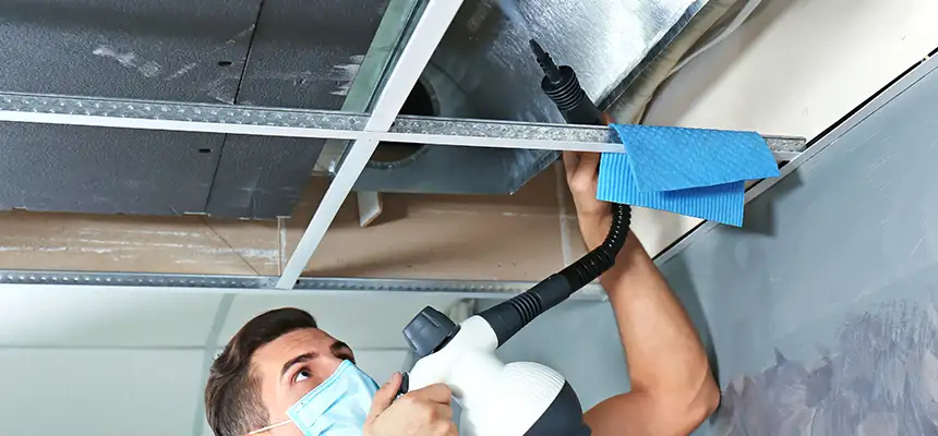 Our Air Duct Rodent Removal Services in Waukesha, WI
