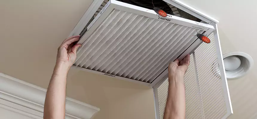 Our Insect Removal from Air Ducts Services in Waukesha, WI