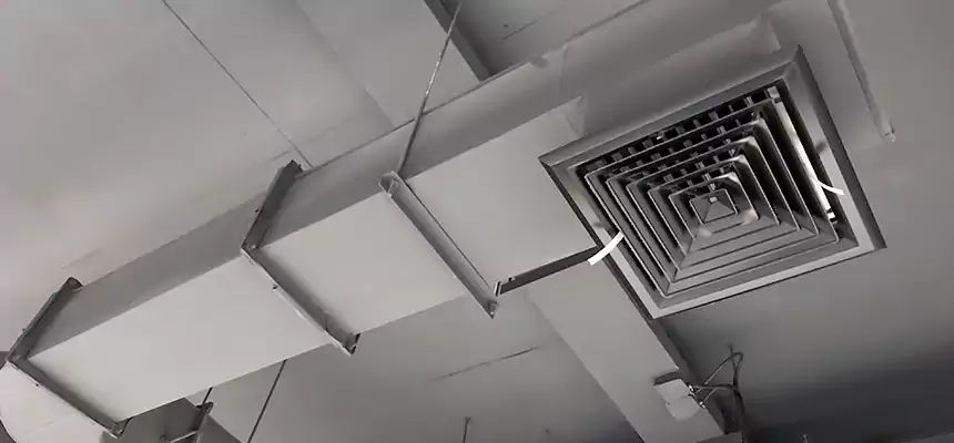 Our Pest Removal From Ducts Services in Waukesha, WI