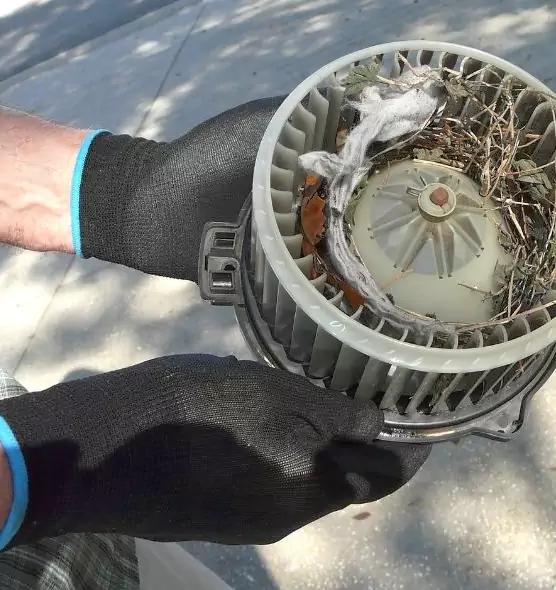 About Air Duct Mice Removal in Waukesha, WI