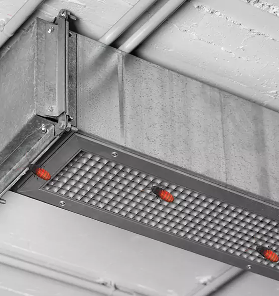 Affordable Insect Removal from Air Ducts in Waukesha, WI