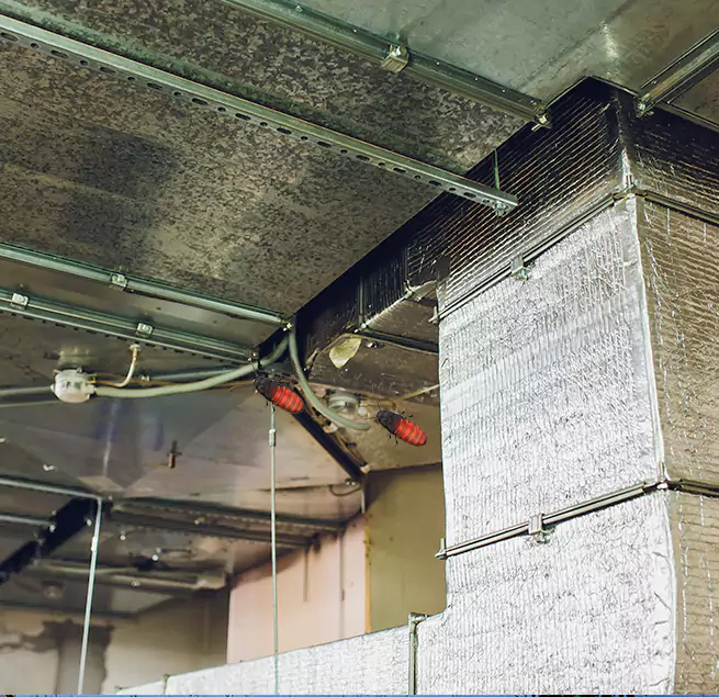 Why Homeowners & Businesses Trust Us in Waukesha, WI?