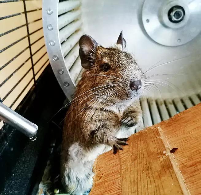 Why Homeowners & Businesses Trust Us Waukesha, WI