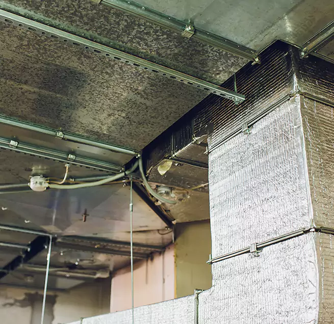 Why Homeowners & Businesses Trust Us in Waukesha, WI?